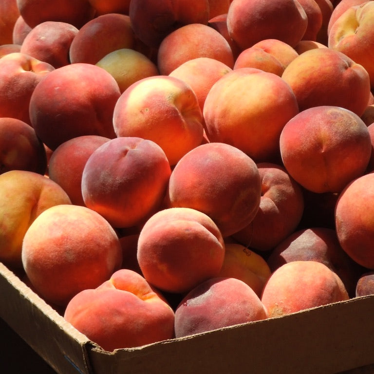 Corradi Fruit Cream Peach, 325 g
