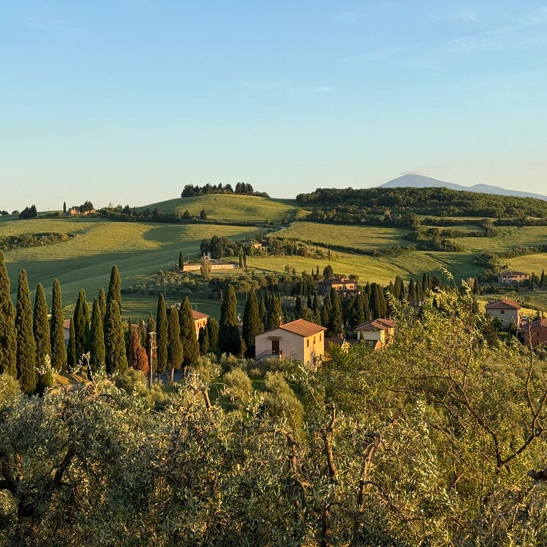 Morelli Linguine al Tartufo-Pasta al Tartufo Toscano, 250g