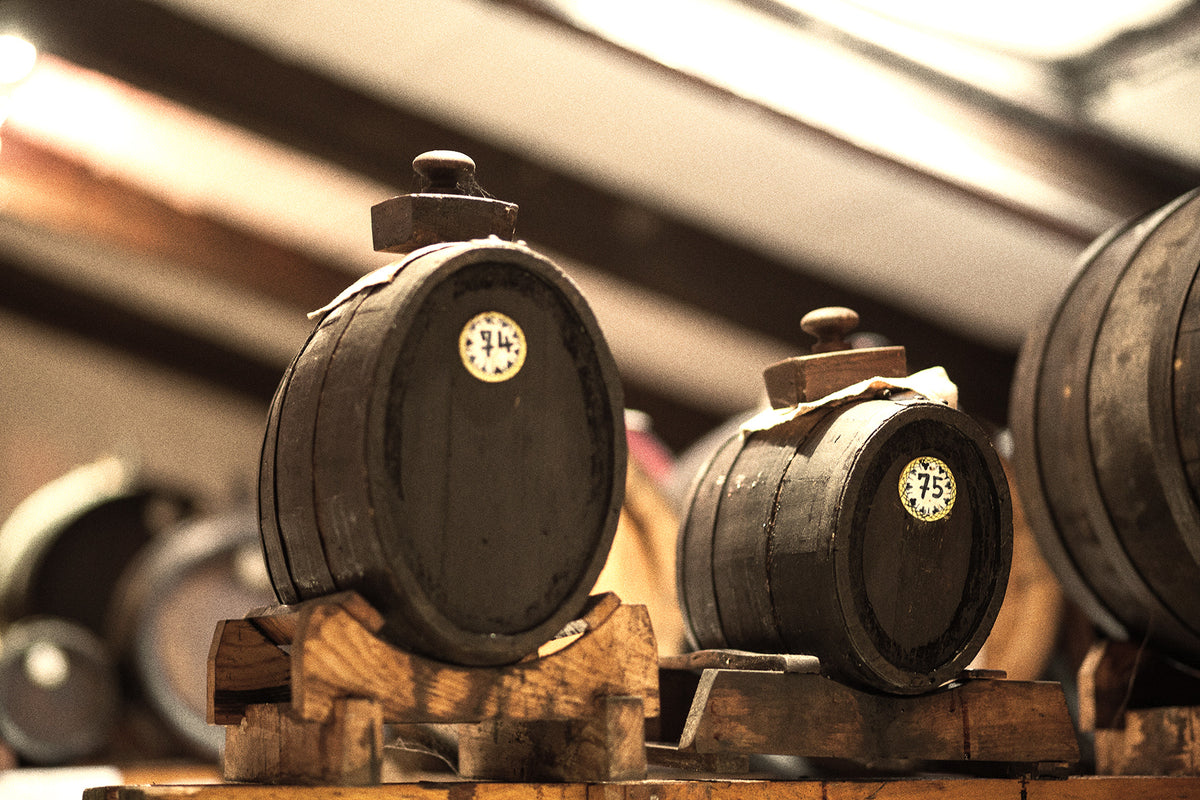 Aceto Balsamico di Modena IGP, Monovariental Lambrusco,Fiorini, 250 ml