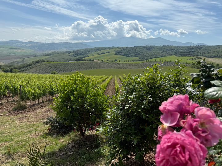 Montecucco Sangiovese 2018, 750ml / 1,5 L