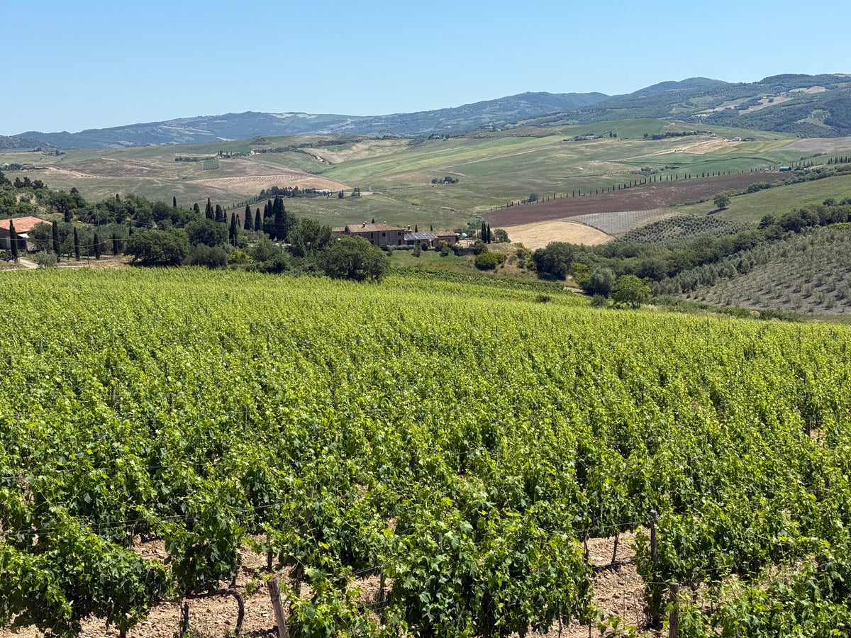 Tuscany IGT red wine Sangiovese Cuvée 2020, Otto Ettari, 750 ml