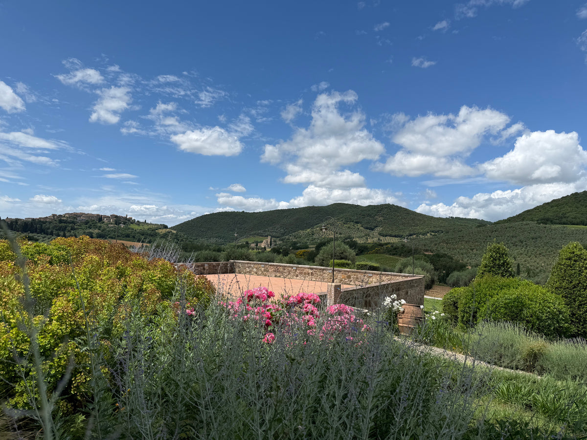 Brunello di Montalcino Riserva 2019, 750ml